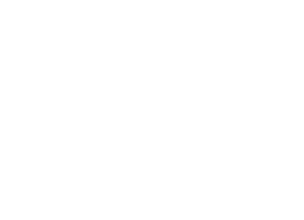 cropped pafy logo white.png