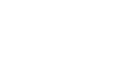 cropped pafy logo white.png